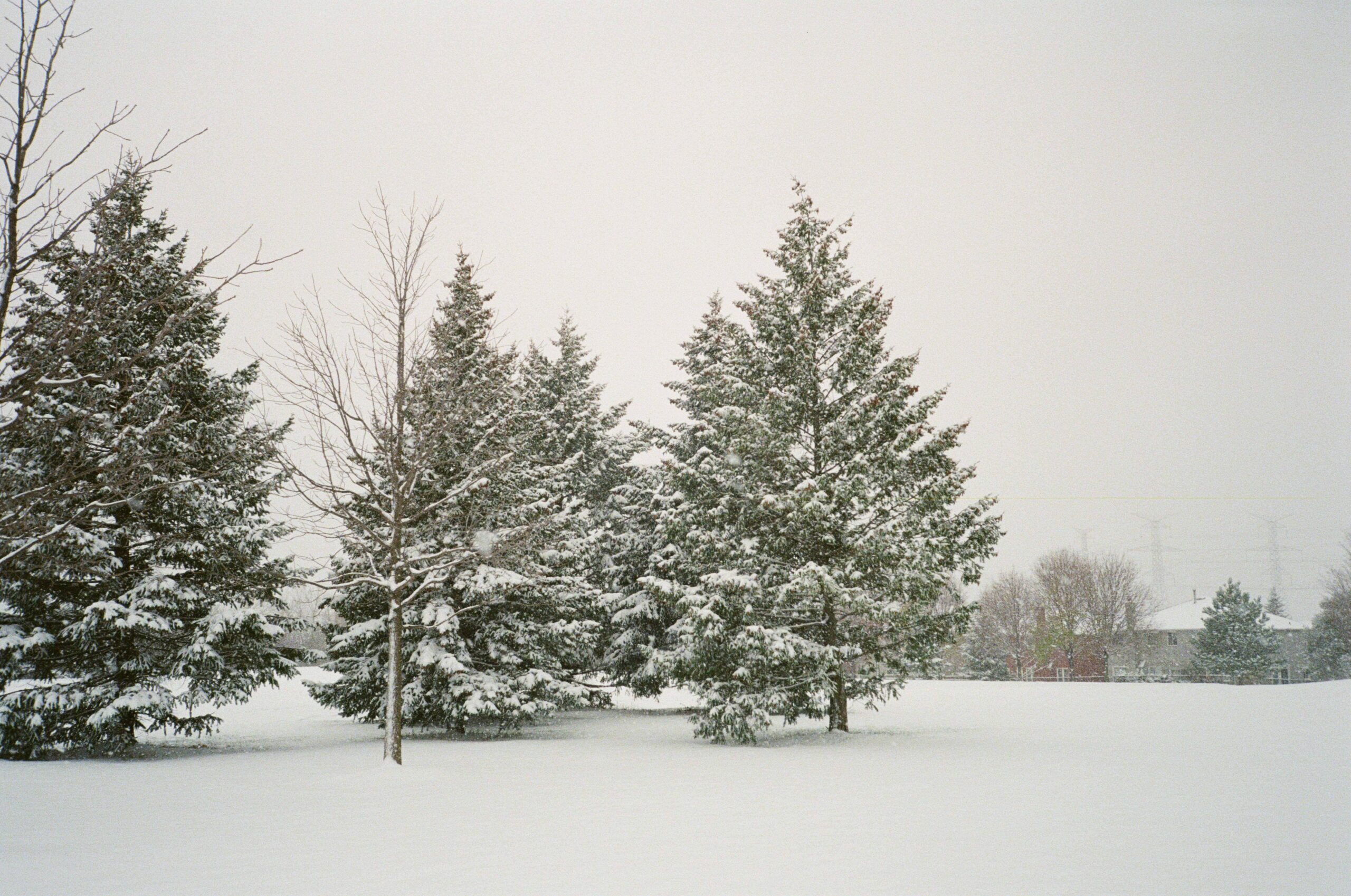 Winter-2021-Landscape-Photos-02