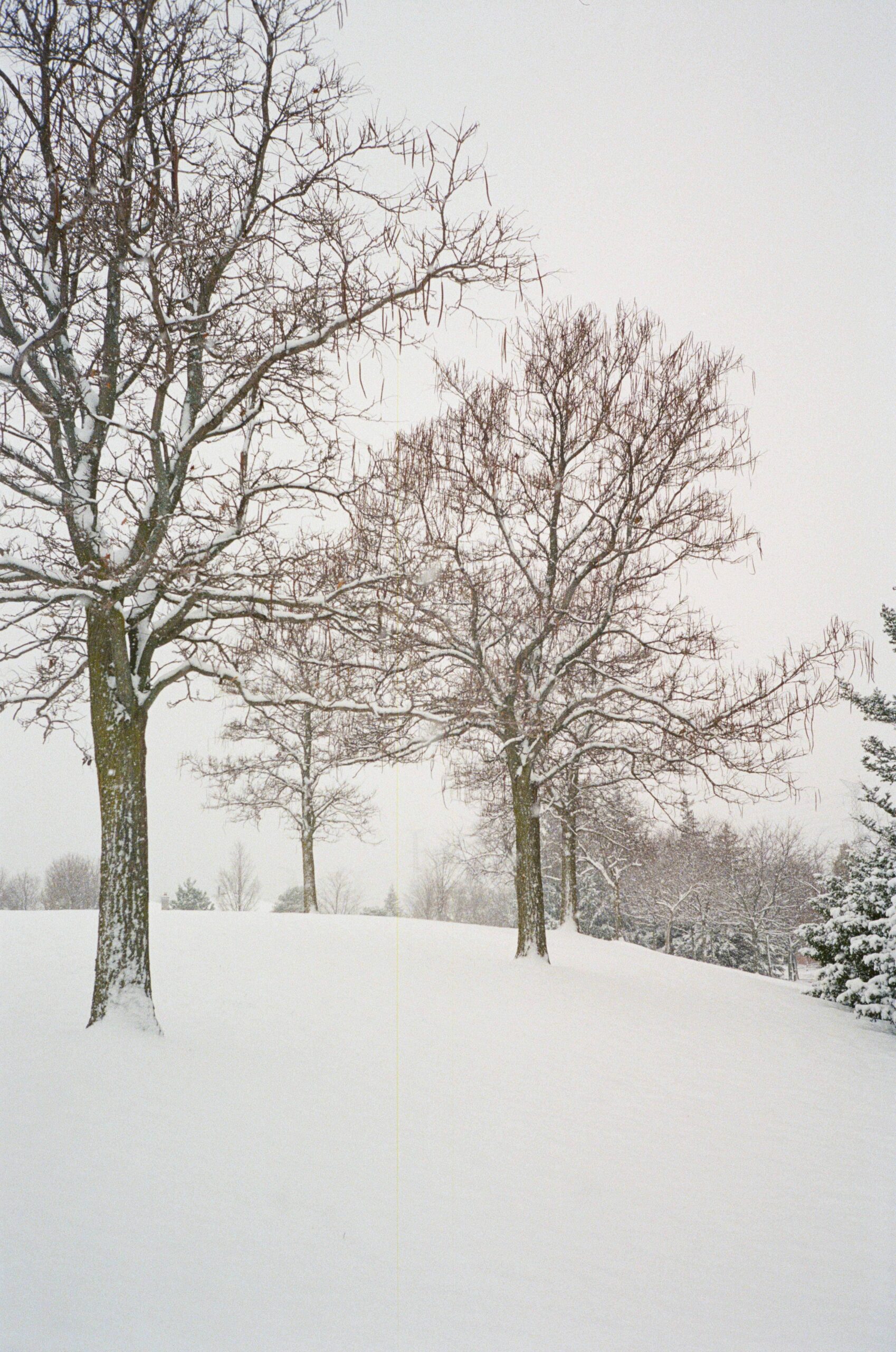 Winter-2021-Portrait-Photos-02